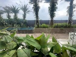 Parksuites (D10), Apartment #631571811
